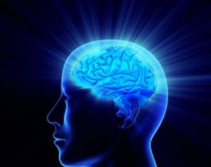 Image result for neurology